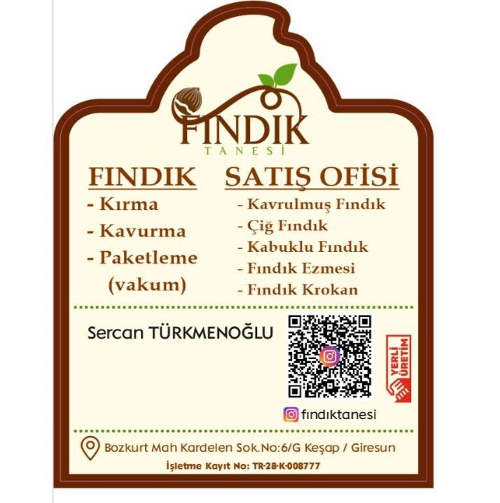 Fındık Tanesi